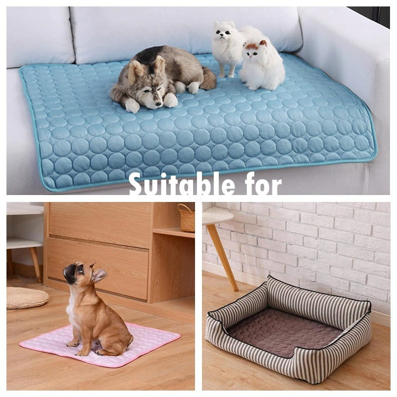 PawCool™ – Tapis Rafraîchissant pour Chiens & Chats